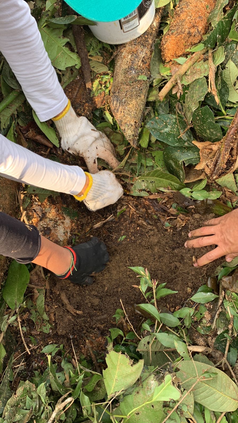 muitas mãos juntas.jpg